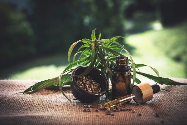 Les méthodes saines pour consommer du CBD ?