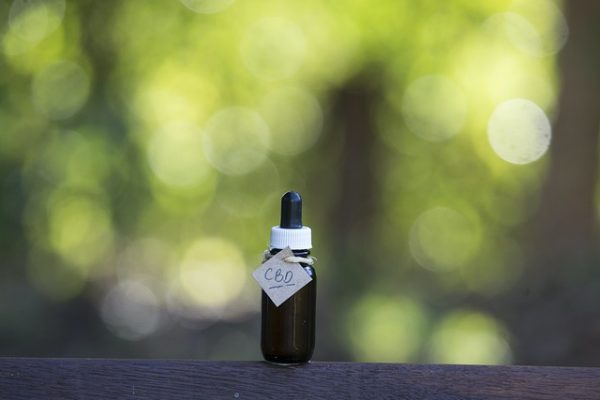 Où se procurer de la résine de cannabidiol ?