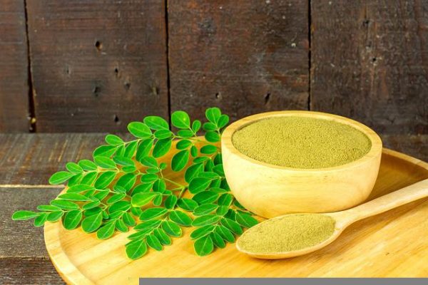 Moringa : un aliment aux multiples vertus