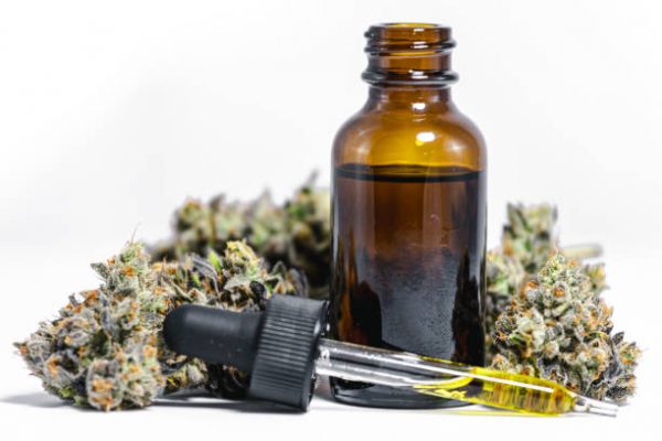Tout ce que vous devez savoir sur l’odeur du cannabis legal